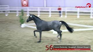 56 Junghengst v Cornet Obolensky  Burggraaf [upl. by Yrneh686]