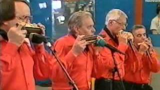 RhythmikHarmonika  Quartett Hildsheim playing Tweedle Dee [upl. by Yennep875]