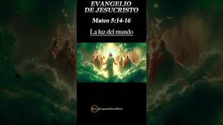 📖 EVANGELIO DE HOY 🌟 Jueves 08 de Agosto 2024 ✝️ Reflexión Mensaje y Bendición del Día 🙏✨ [upl. by Athey421]