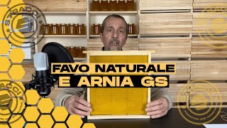 Avviamento allApicoltura con Favo Naturale e Arnia GS [upl. by Werdn461]