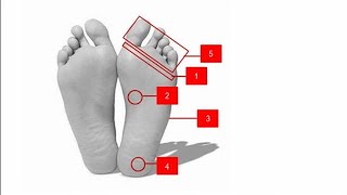 5 Arti Kedutan Telapak Kaki Kiri Menurut Kitab Mujarobat Primbon Jawa [upl. by Eelac]