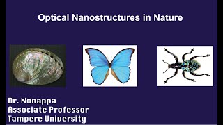 Optical Nanostructures in Nature by Prof Nonappa [upl. by Ayeki]