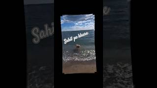 Sahil pe Khare  Sajjad Ali  shorts ytshorts fypシ゚viral nature canada iamyourjoy [upl. by Odilia]