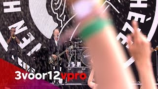 Rowwen Hèze  Limburg  Bestel Mar live op Pinkpop 2019 [upl. by Garges208]