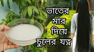 ভাতের মার দিয়ে চুলের যত্নচুল পড়া বন্ধআগা ফাটা দূর করুনHair Care With Rice BranAnd Soft Hair [upl. by Retsek]