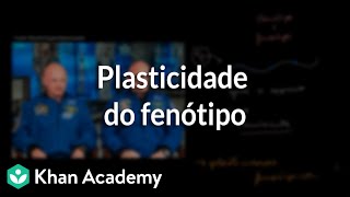 Plasticidade do fenótipo [upl. by Alessandra622]