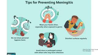 Microbiology lab project on N meningitides [upl. by Notelrahc347]