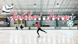 Single Salchow Jump  Figure Skating [upl. by Naeerb]