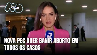 Proposta de PEC visa proibir aborto inclusive em casos de estupro e risco à vida [upl. by Ydnik76]