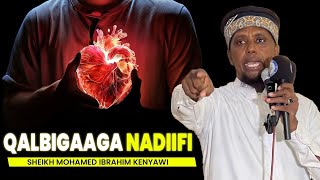 QALBIGAAGA NADIIFI  SH KENYAWI [upl. by Haroved]