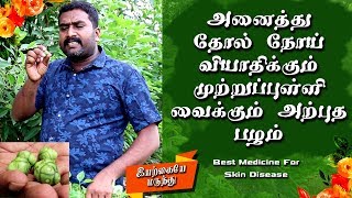 Skin Infection And Disease Treatment Tamil  Skin Care Tips Tamil [upl. by Alael]