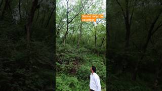 Sariska forest in Rajasthan ❤️ Sandeepyadavvlog90 [upl. by Anertal487]