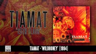 TIAMAT  25th Floor Album Track [upl. by Anivad943]