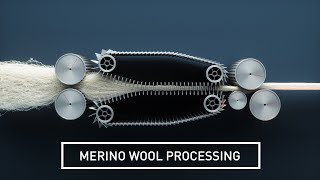 Wool Production and Processing [upl. by Nanine]