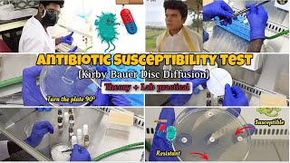 Antibiotic Susceptibility Test  Kirby Bauer Disc Diffusion  Practical Demo  Tamil  ThiNK Biology [upl. by Ahsirat]