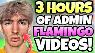 3 HOURS OF FLAMINGO ADMIN VIDEOS TO FALL ASLEEP TO [upl. by Denbrook97]