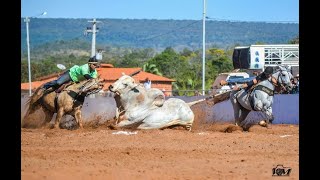 VAQUEJADA PARQUE GENÉSIO E SILVA  FORMOSA DA SERRA NEGRA  MA 2019  DISPUTA CAT PROFISSIONAL [upl. by Ahsitauq]