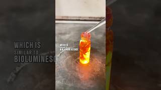 Behold Chemiluminescence 🔥🔥 [upl. by Halak208]