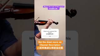 Guessthesong 估歌仔 sheetmusic 簡易樂譜 violin 小提琴 LotharSemmlinger [upl. by Britney]