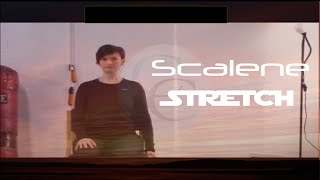 Corbin Chiropractic How To Stretch The Scalene Muslces Backmiddlefront [upl. by Caine608]