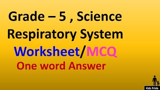 Class5th Respiratory system  grade 5 science Respiratory System worksheet MCQ  One word Answer [upl. by Katha645]