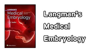 Medical Embryology  Langmans Medical Embryology Mbbs Embryology BetaBlocker [upl. by Quennie]