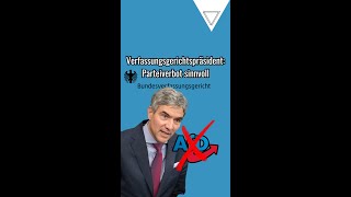 Verfassungsgerichtspräsident Parteiverbot sinnvoll [upl. by Oam492]