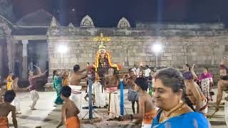 Mannargudi Rajagopalan swamy temple  kolata Utsavam 2024 [upl. by Diet]