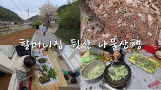 할머니집 뒷산엔 고사리드룹나물이 한가득🌿 시골일상vlog [upl. by Latsyrk967]