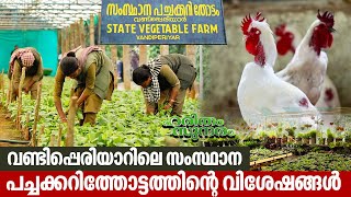 Features of State Vegetable Farm Vandiperiyar  Haritham Sundaram EP 438 [upl. by Nirej182]