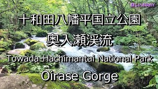 2024 奥入瀬渓流めぐり Oirase Gorge Tour 2024 [upl. by Wendt260]