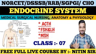 ENDOCRINE SYSTEM Medical Surgical Nursing CLASS 07FREE LIVE COURSE NORCETDSSSBRRB freeclasses [upl. by Ttam]