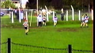 1995 Limerick County Junior B Hurling Final  Galbally vs Killeedy [upl. by Efeek]