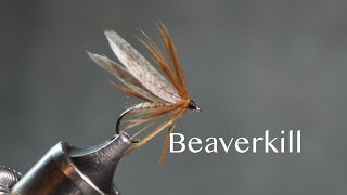 Beaverkill from the illustration in Favorite Flies and Their Histories 1892 by Mary Orvis Marbury [upl. by Adnical]