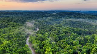 Amazon rainforest  Ecosystems [upl. by Em951]