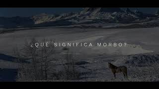 ¿Qué significa morbo [upl. by Nedrah]