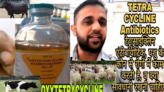 पशुओं में ऑक्सी टेट्रासाइक्लिन एंटीबायोटिकOXYTETRACYCLINE किनकिन रोगों में काम करती है [upl. by Sanfred157]