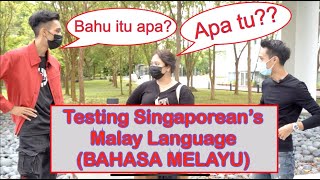 How Well Do Singaporean Malay Know Malay Words PART 1 [upl. by Miksen66]