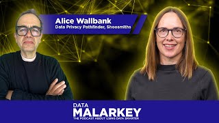 Safeguarding Privacy in Big Tech with Alice Wallbanks [upl. by Figueroa]