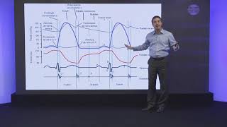 Pílula Anatomia e fisiologia cardíaca básica [upl. by Eiuqram879]
