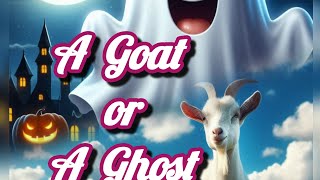 A Goat or a ghost Panchatantra story cartoon kids storytime virtuevibesthelitlantern [upl. by Occer]