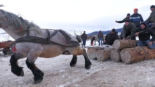 Cai sau buldozere dl Constantin Marcu de la Vicovu de Sus [upl. by Gibert]