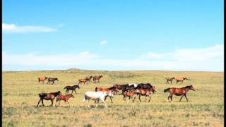 Kazakh warriors attack Dzungar army  哈薩克勇士攻擊準格爾軍隊 [upl. by Pincas338]