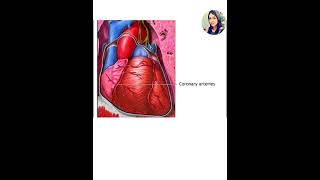 Directional coronary atherectomy DCA [upl. by Tansy111]