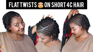 Simple natural hair styling tutorials beginners friendly [upl. by Ainessey299]