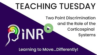 teachingtuesday Two Point Discrimination and the Role of the Corticospinal Systems [upl. by Herwig472]