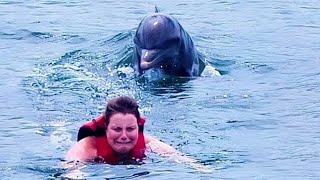 10 ENCUENTROS Increíbles Con ANIMALES En El MAR [upl. by Adnolay]