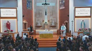 Combined Schools Mass for Centenary of Cronulla Parish  8 November 2024  1230pm [upl. by Swerdna]