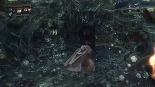 Bloodborne blood stone chunk chalice dungeon farm [upl. by Assenov]