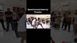 Speed Got knocked down Hahaha ishowspeed ishowspeedshorts mannypacquiao ishowspeedmemes [upl. by Llertniuq]